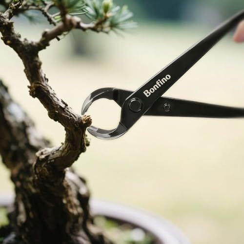 Bonsai Cutting Tool Reviews: Expert Picks For Clean Cuts