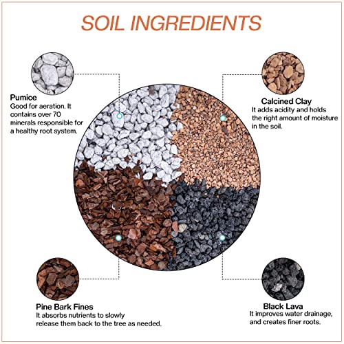 Best Bonsai Soil Mix Akadama: Expert Picks For Healthy Roots