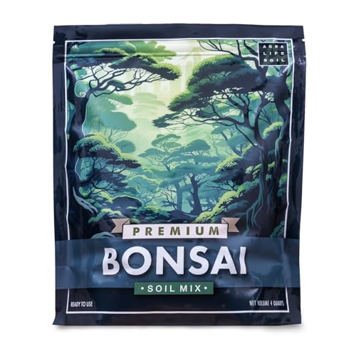 Best Soil For Bonsai Plants Indoors: Top Picks That Boost Root Health