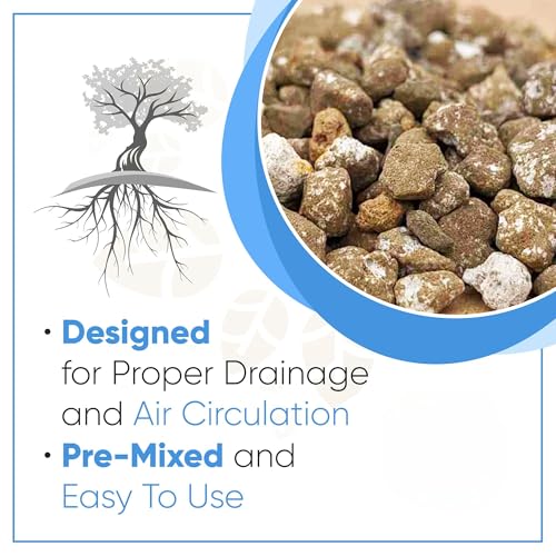 Best Soil For Chinese Elm Bonsai: Drainage, Aeration, And Growth