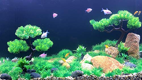 Best Artificial Bonsai Tree For Aquarium: Create a Stunning Underwater World