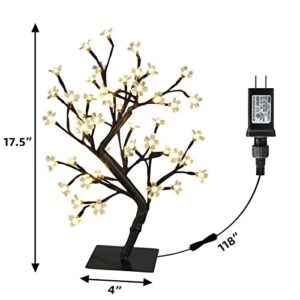 Best Artificial Light For Bonsai Trees Indoor