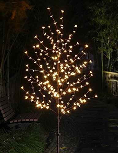 Best Artificial Light For Bonsai Trees Outdoor