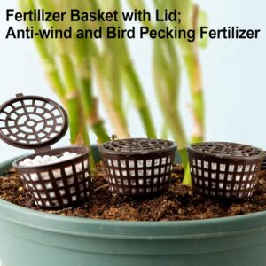 Best Bonsai Fertilizer Baskets