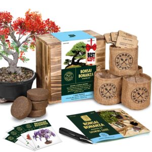 Best Bonsai Seed Starter Kit