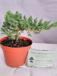 Juniper Bonsai Fertilizer Review