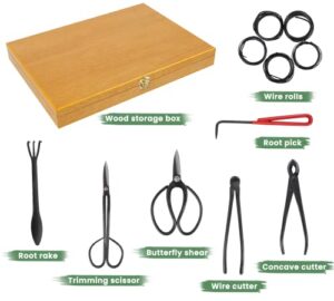 Professional Bonsai Tools List