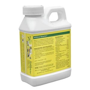 Bonsai Pro Fertilizer Review