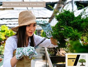 Professional Bonsai Tool Kit For Beginners