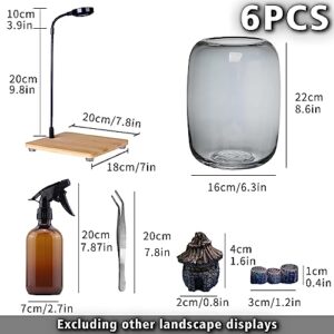 Small Glass Terrarium For Bonsai Tree