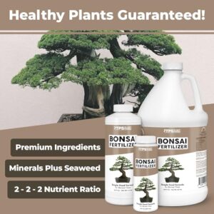 Bonsai Fertilizer Npk Review