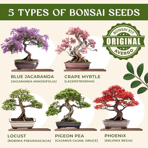 Bonsai Tree In Terrarium DIY