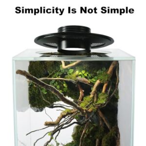 Large Glass Terrarium For Bonsai Tree