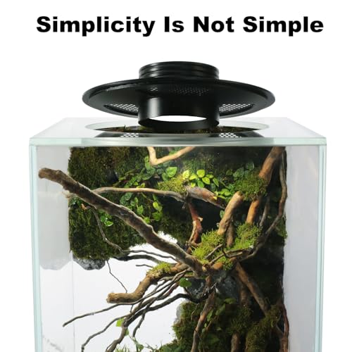 Large Glass Terrarium For Bonsai Tree