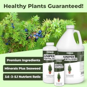 Juniper Bonsai Fertilizer Review