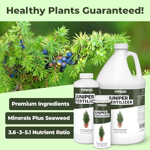 Juniper Bonsai Fertilizer Review