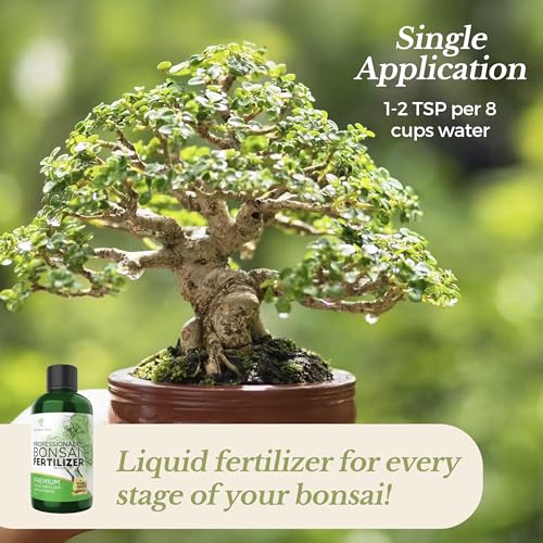 Best Liquid Fertilizer For Juniper Bonsai
