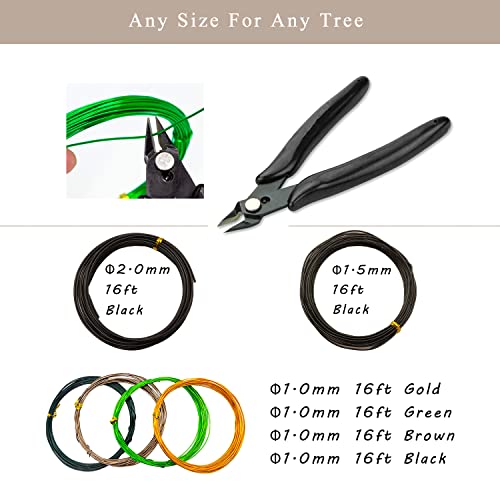 Best Marcotting Procedures For Bonsai