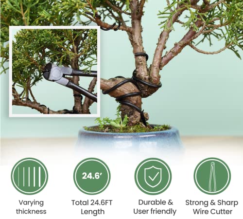 Professional Bonsai Shears And Scissors Kit