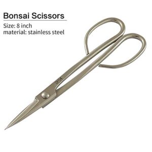 Tian Bonsai Tools Review