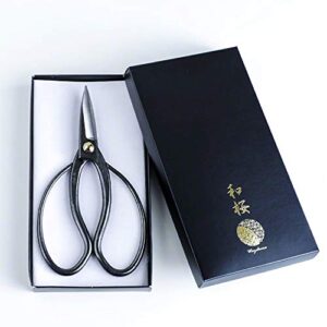 Wazakura Japanese Bonsai Essential Tool Set Reviews