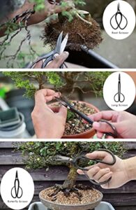 Yoshiaki Bonsai Tools Review