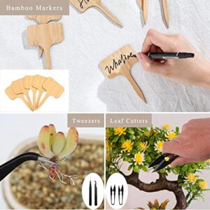 Fujiyama Bonsai Tools Review