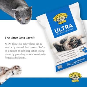 Best Cat Litter For Bonsai Soil