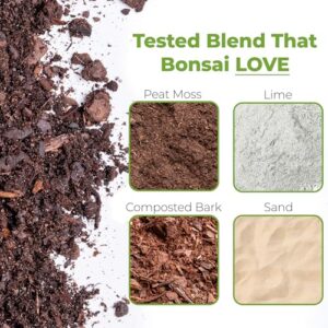 Top 10 Best Soil For Bonsai Seedlings
