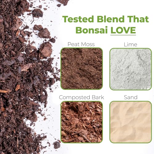 Top 10 Best Soil For Larch Bonsai