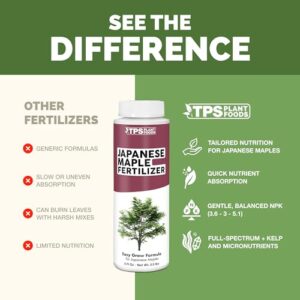 Best Fertilizer For Japanese Maple Bonsai