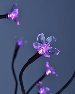 Top 10 Best Bonsai Tree Fluorescent Light