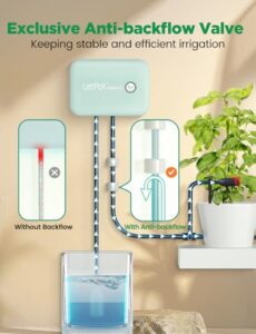 Best Indoor Bonsai Watering System