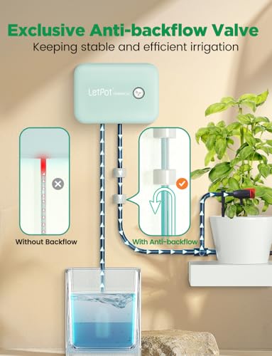Best Indoor Bonsai Watering System