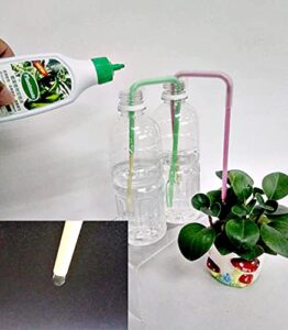 Best Bonsai Watering Tool