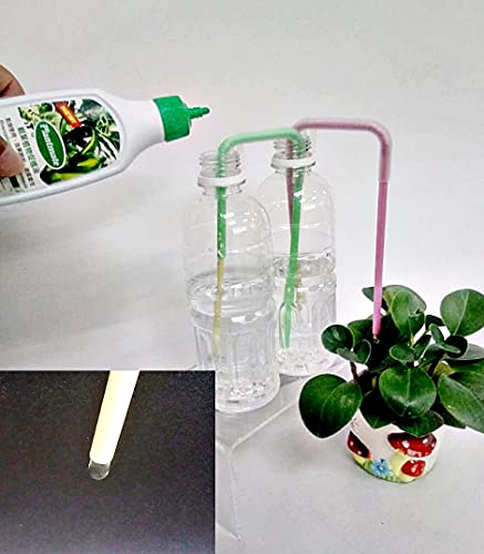Best Bonsai Watering Tool