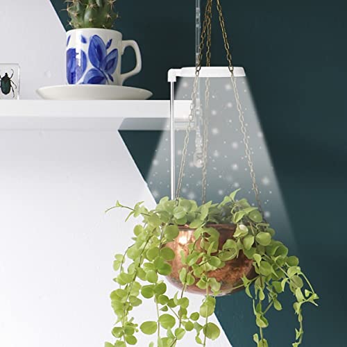 Bonsai Indoor Lighting Setup