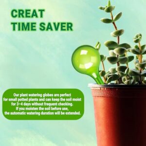 Best Bonsai Watering Bulb