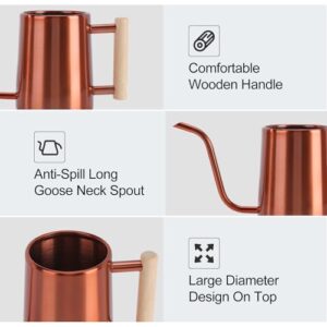 Best Copper Bonsai Watering Can