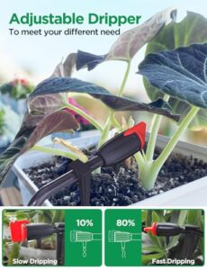 Best Automatic Watering System For Bonsai