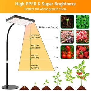 Top 10 Best Indoor Grow Light For Bonsai Tree