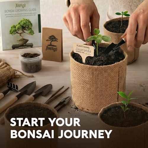 Indoor Bonsai Tree Care Kit