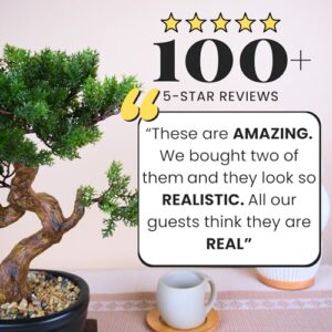 Top 5 24 Inch Artificial Bonsai Tree