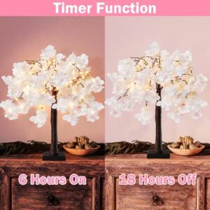 Top 10 Best Lighted Bonsai Cherry Blossom Tree