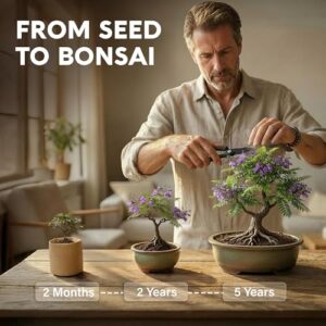 Best Indoor Bonsai Tree Kit
