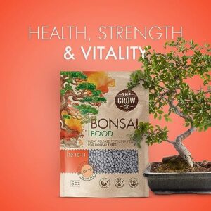 Top 10 Best Fertilizer For Ficus Bonsai