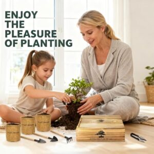 Best Indoor Bonsai Tree Live Plant Starter Kit