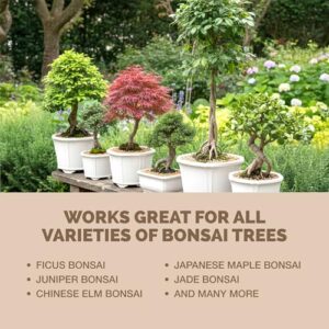 Best Liquid Fertilizer For Bonsai Tree