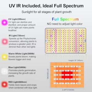 Top 10 Best Azalea Bonsai Indoor Light