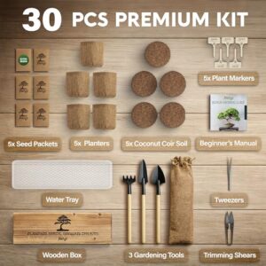 Best Indoor Bonsai Tree Growing Kit